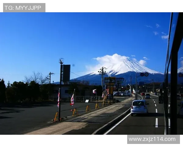 东京与大阪樱花的激烈对决结果揭晓精彩瞬间回顾与分析